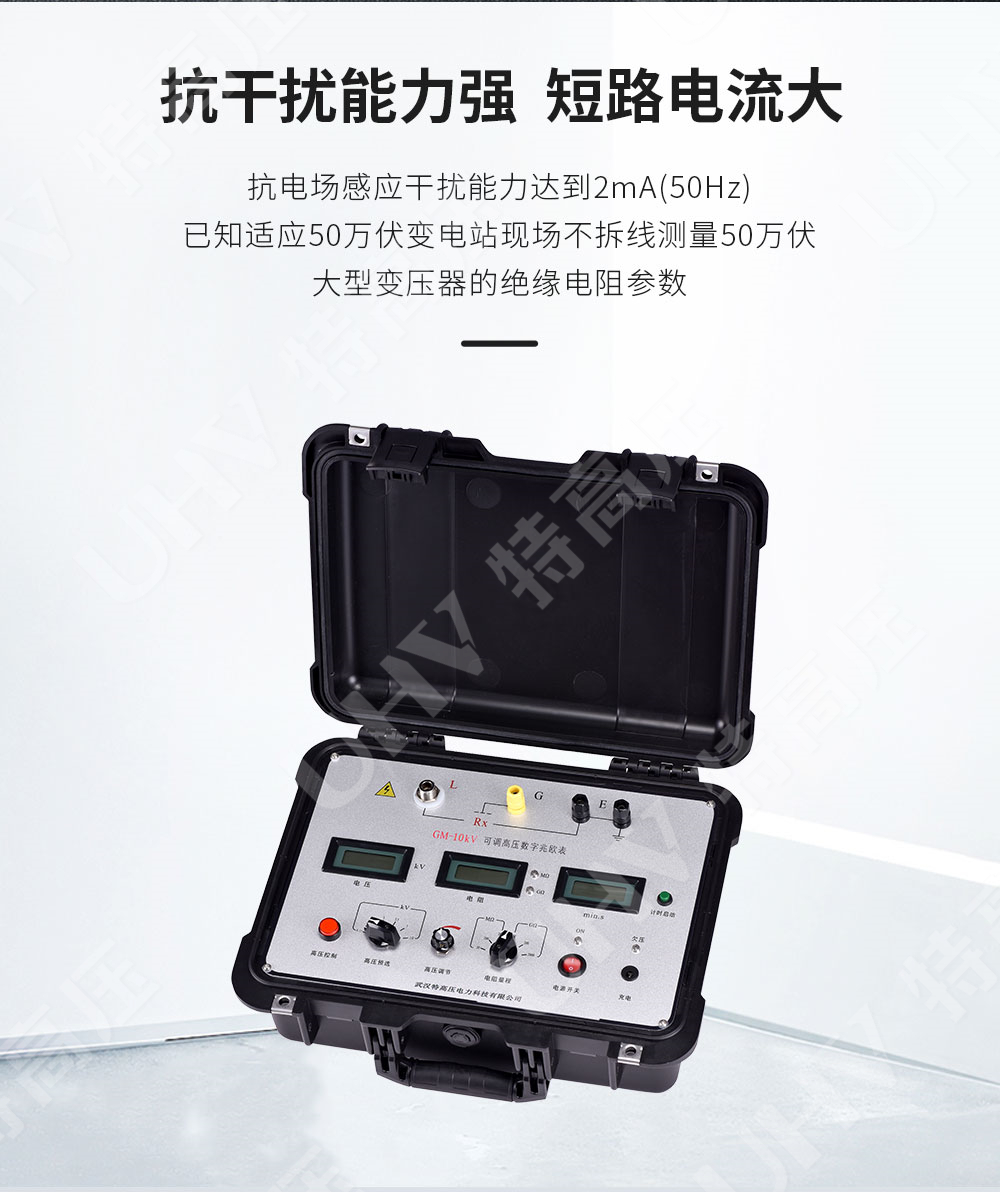 GM-10kV 可调高压数字兆欧表(图2)