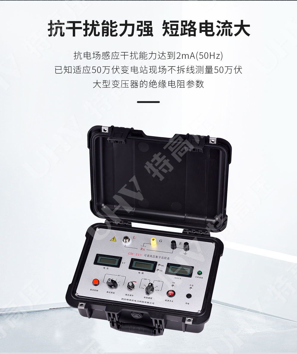 GM-5kV 可调高压数字兆欧表(图2)